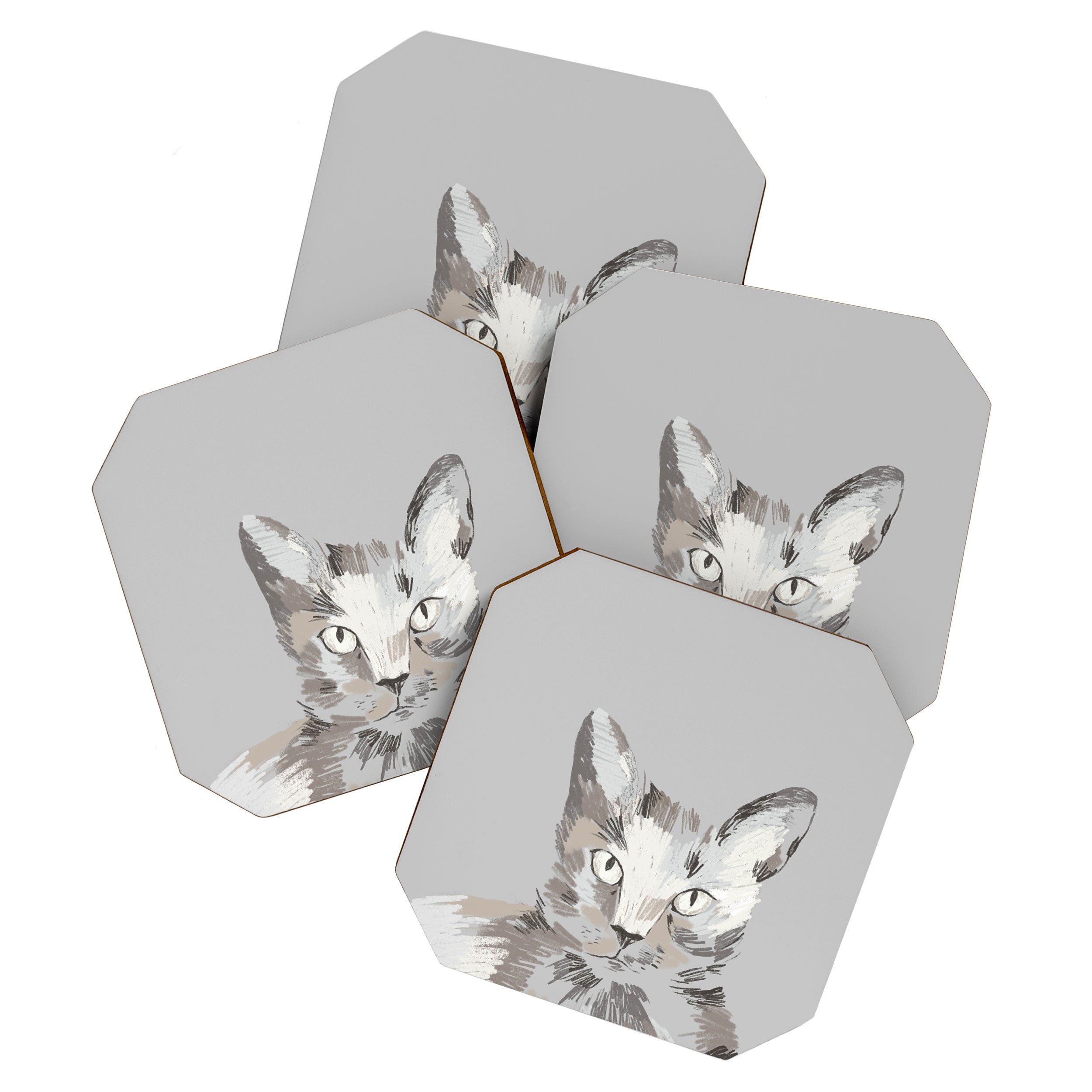 Gray Cat Sketch Coaster Gallery Image 1