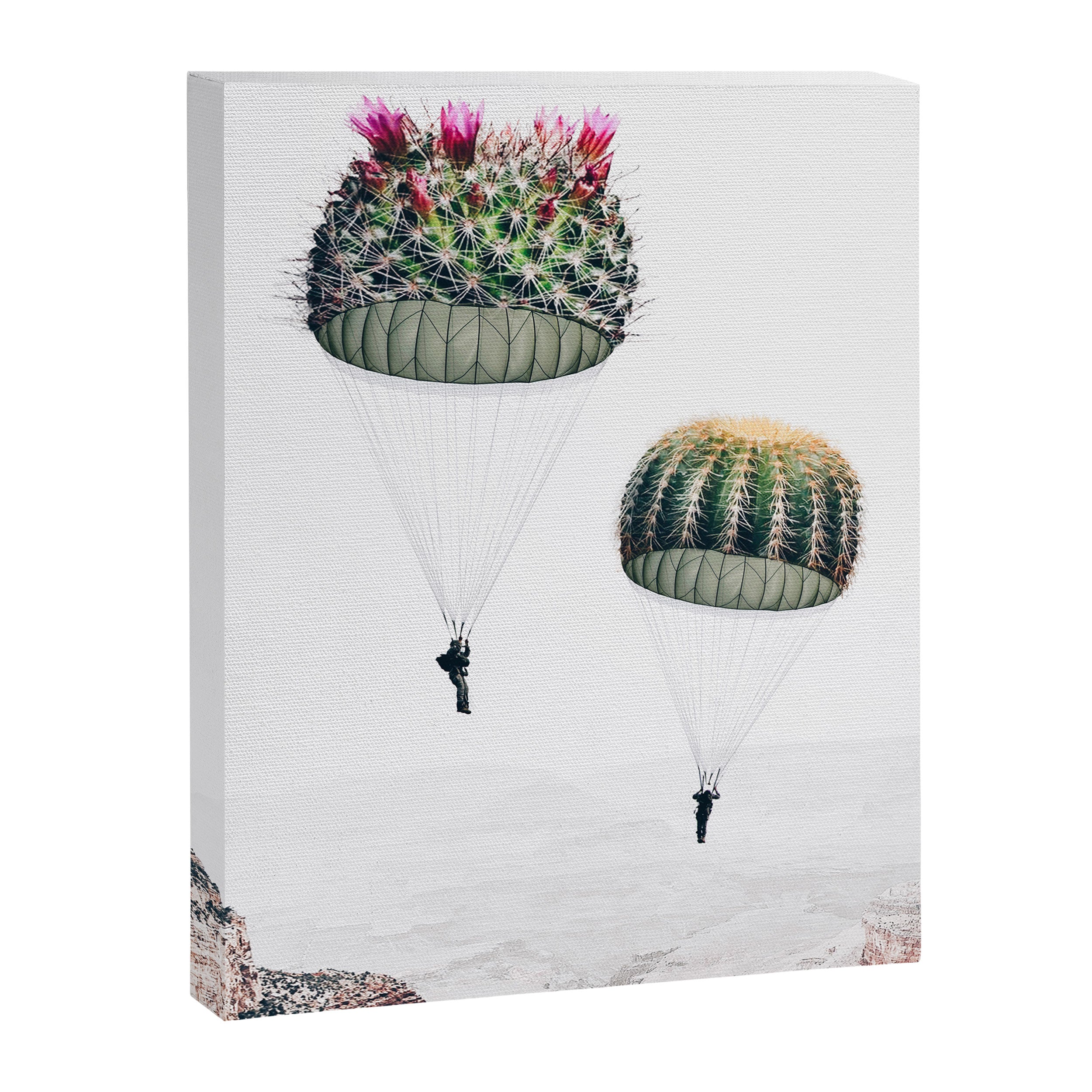 Flying Cacti Canvas Print Gallery Image 8