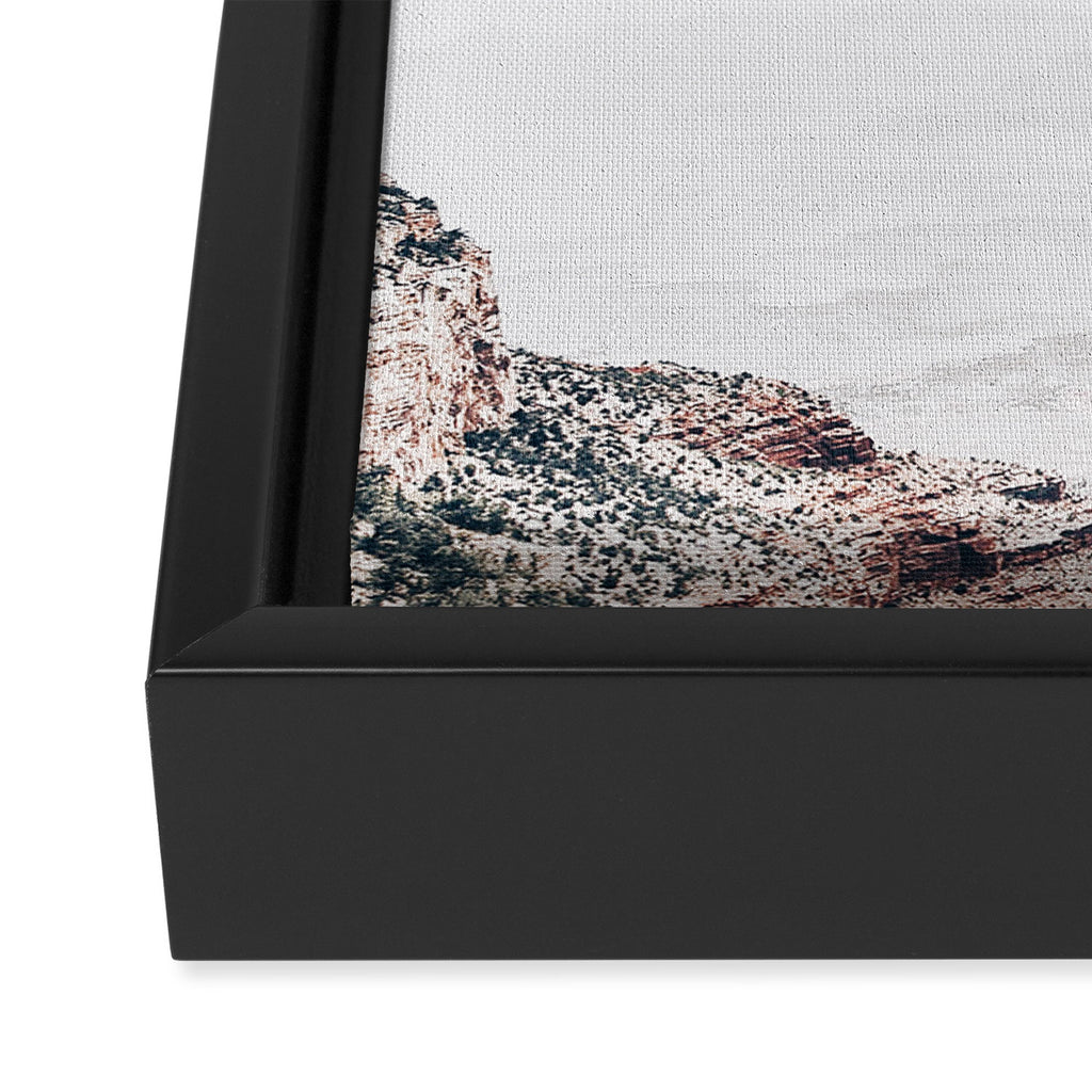 Flying Cacti Framed Canvas Print Gallery Image 3