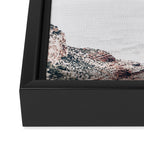 Flying Cacti Framed Canvas Print Gallery Image 3