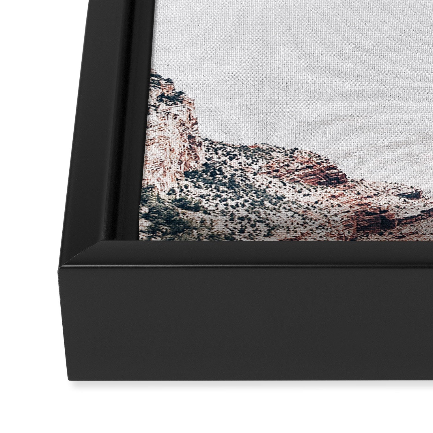 Flying Cacti Framed Canvas Print Gallery Image 3