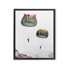 Flying Cacti Framed Canvas Print Gallery Image 8