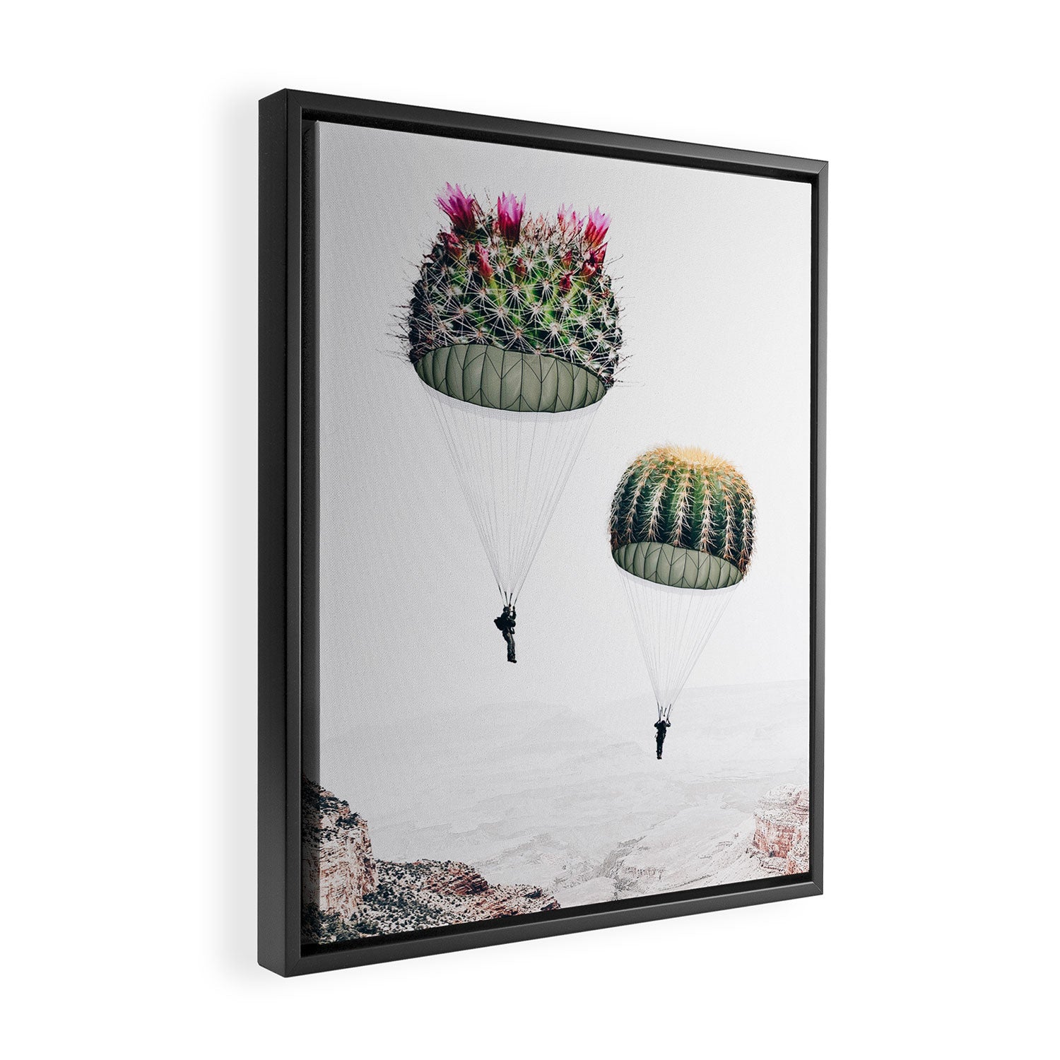 Flying Cacti Framed Canvas Print Gallery Image 2