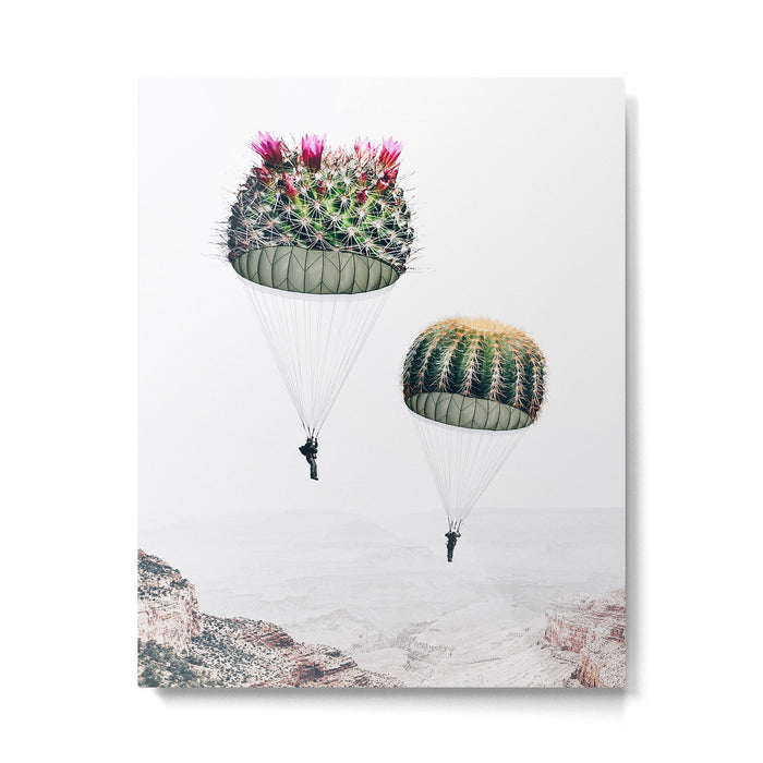 Flying Cacti Metal Print Gallery Image 1