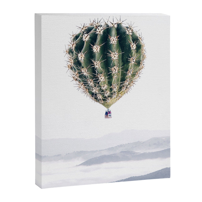 Flying Cactus Canvas Print Gallery Image 1