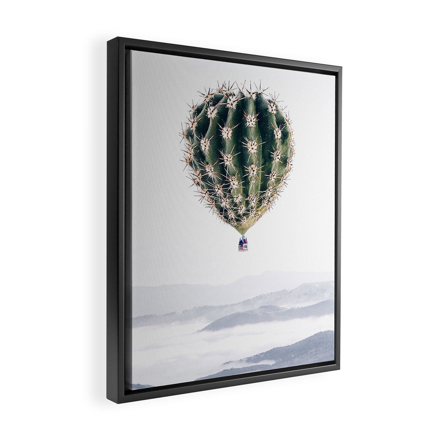 Flying Cactus Framed Canvas Print Gallery Image 2