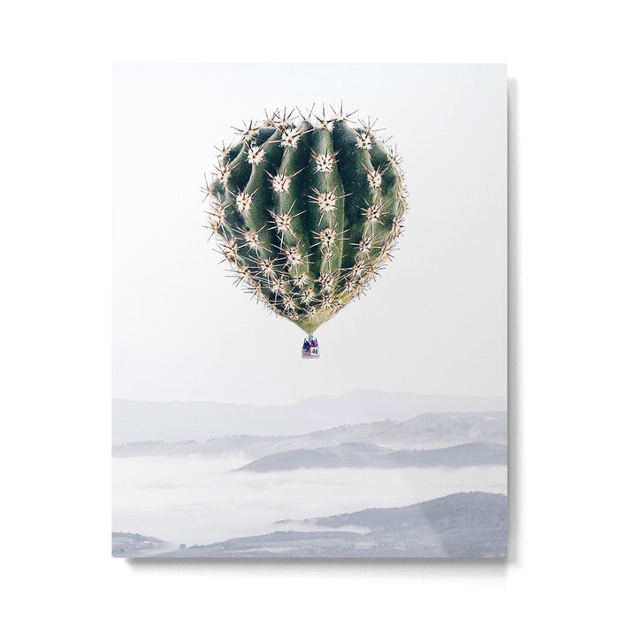 Flying Cactus Metal Print Gallery Image 1