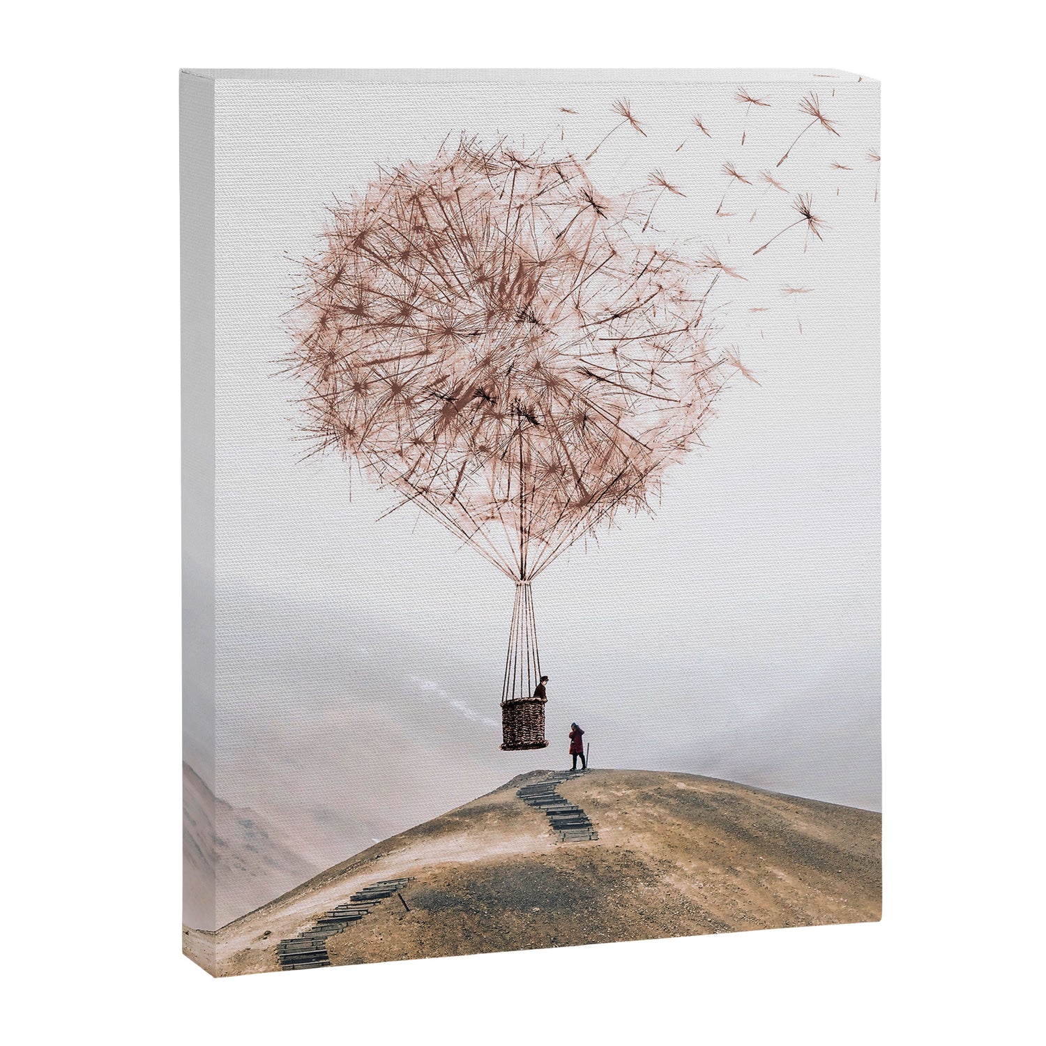 Flying Dandelion Canvas Print Gallery Image 3