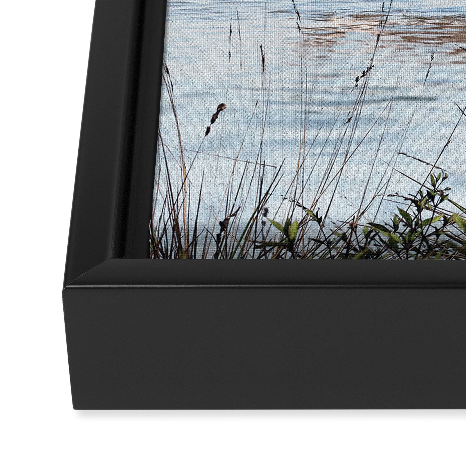 In a Bubble Framed Canvas Print Gallery Image 3