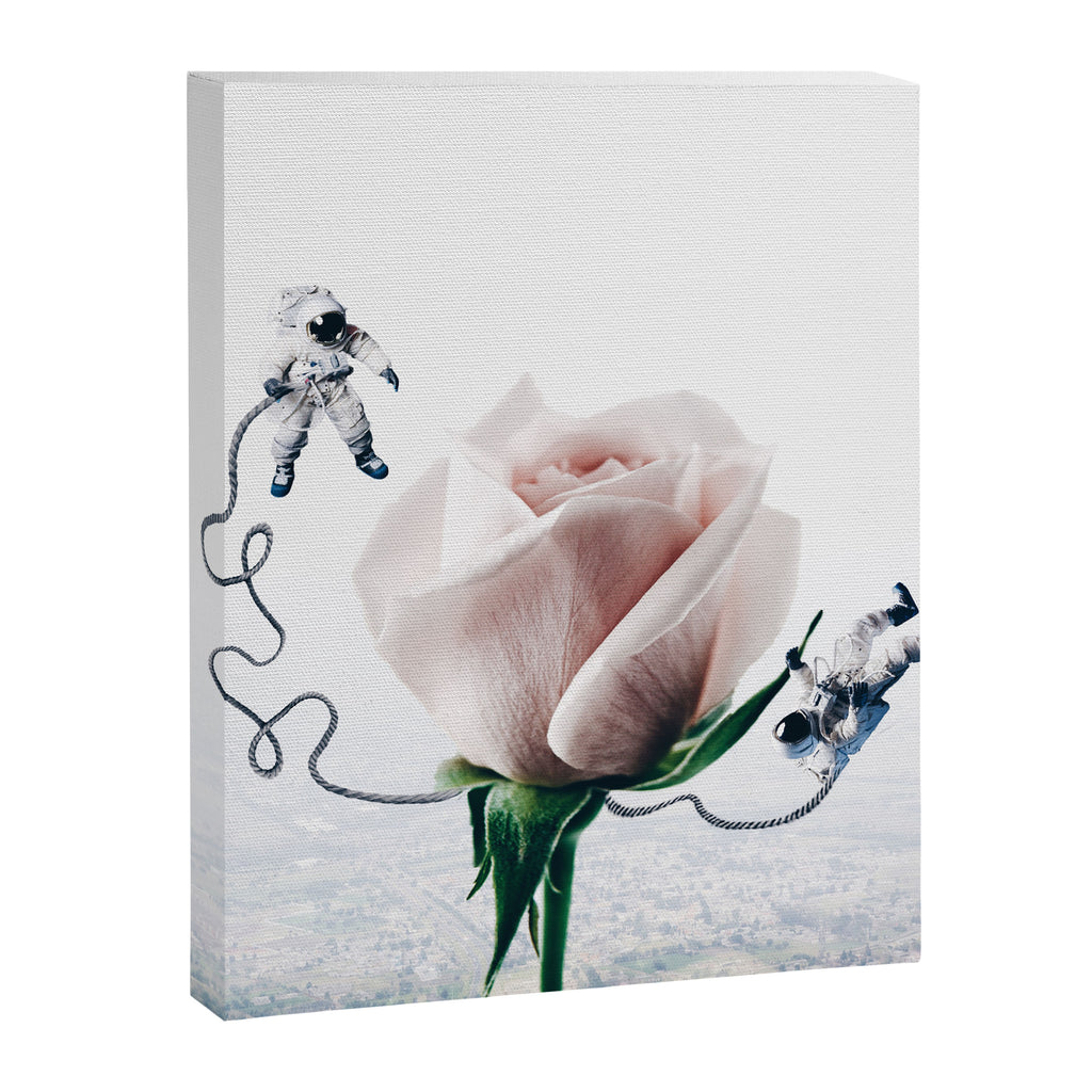 In Orbit Canvas Print Gallery Image 8
