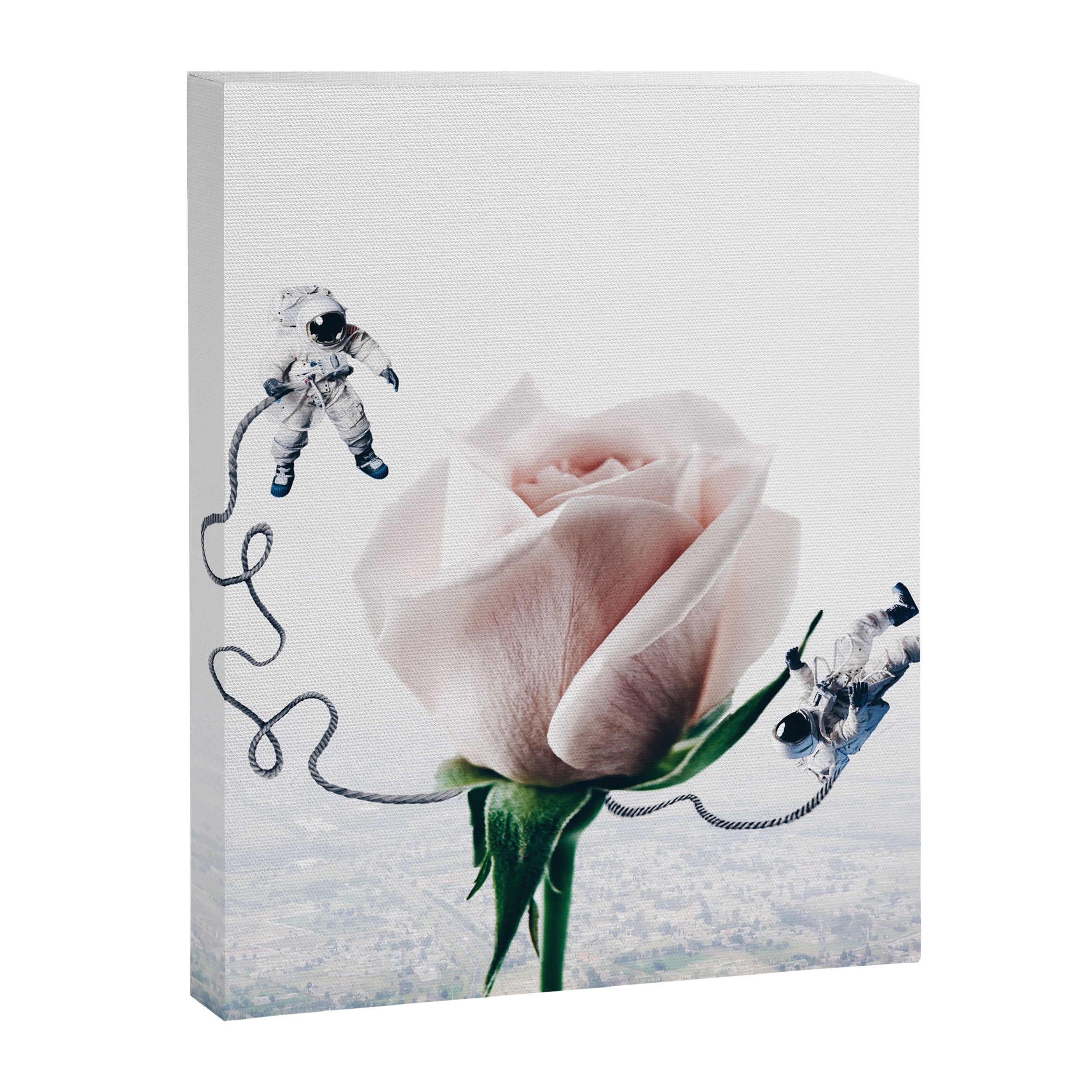 In Orbit Canvas Print Gallery Image 8