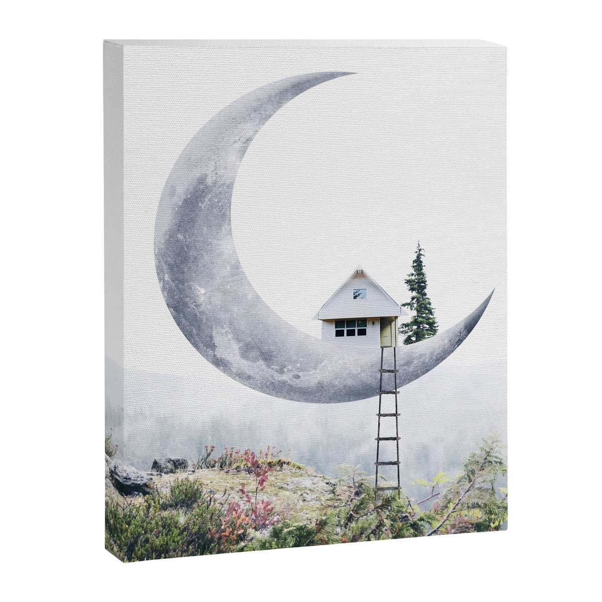 Moon House Canvas Print Gallery Image 8