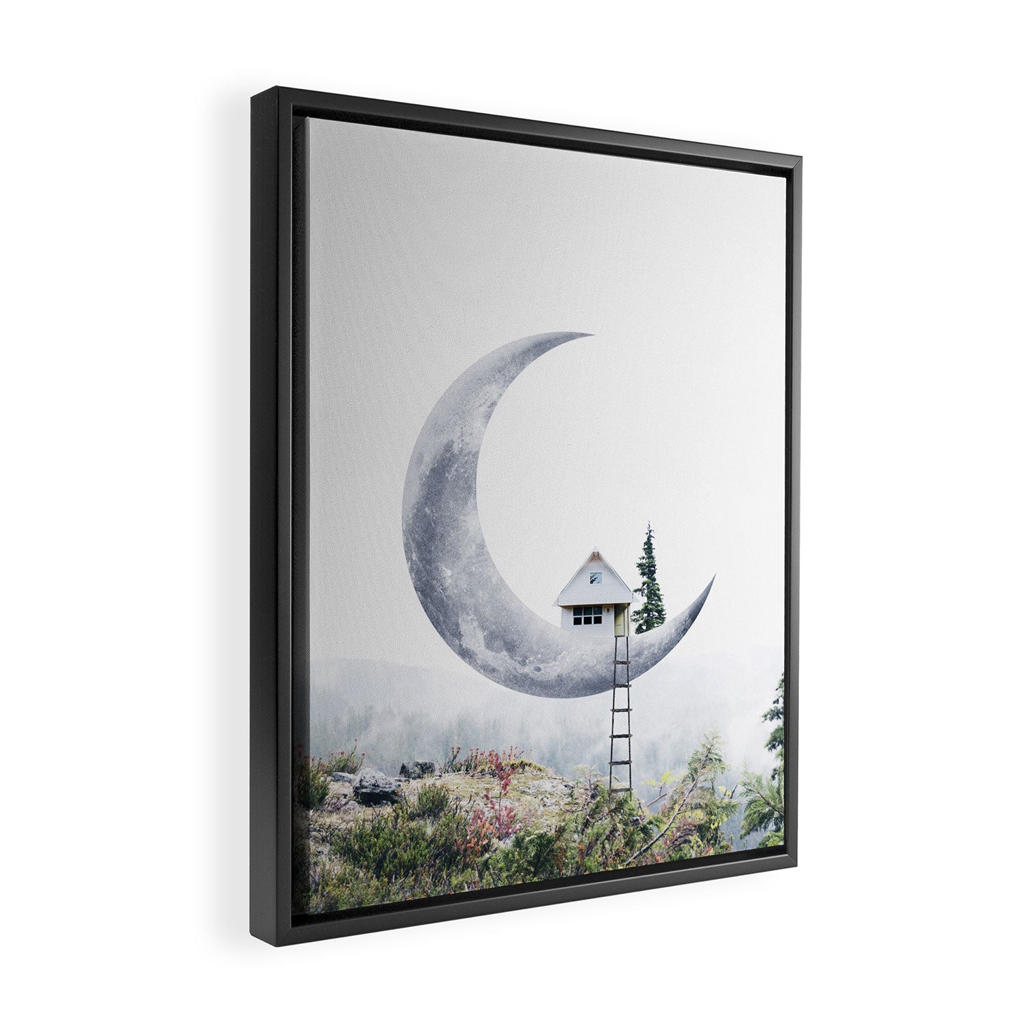 Moon House II Framed Canvas Print Gallery Image 2