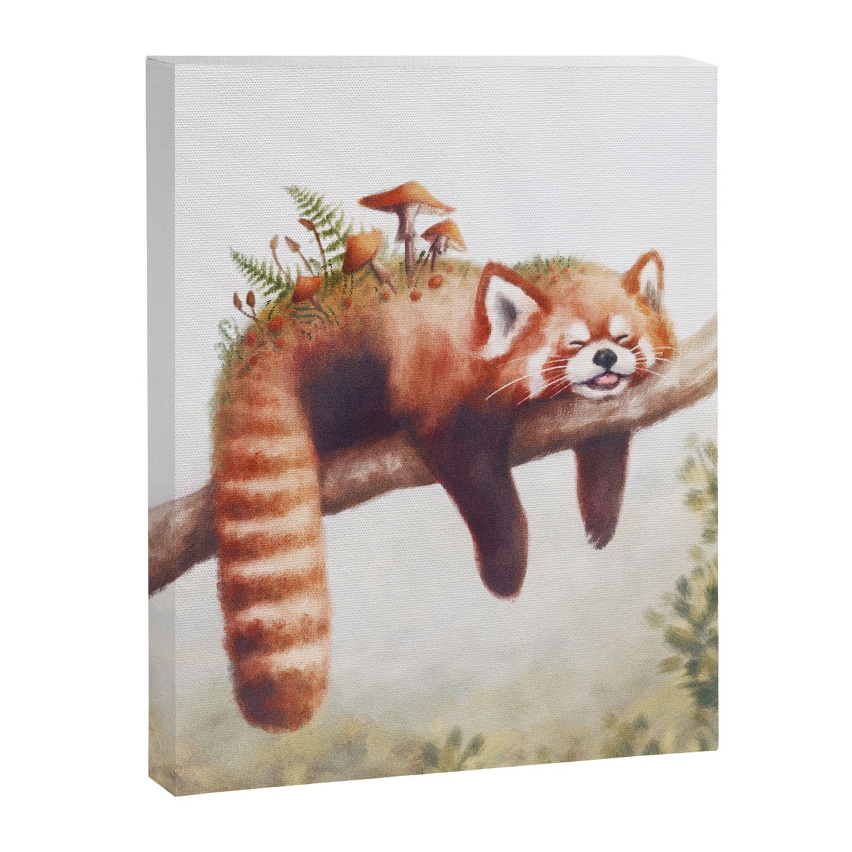 Sleepy Red Panda Canvas Print Gallery Image 8