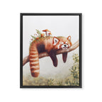 Sleepy Red Panda Framed Canvas Print Gallery Image 8