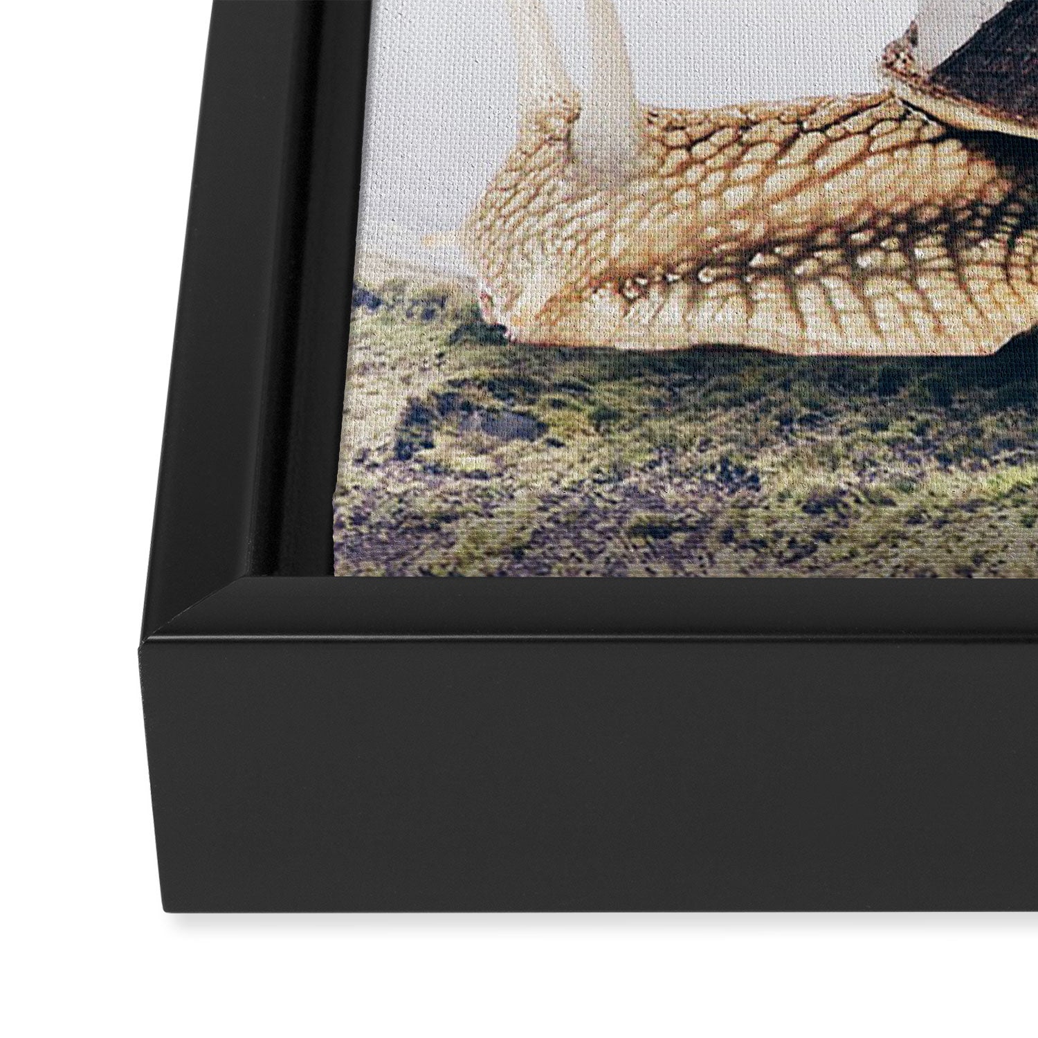 Slowly Moving Framed Canvas Print Gallery Image 3
