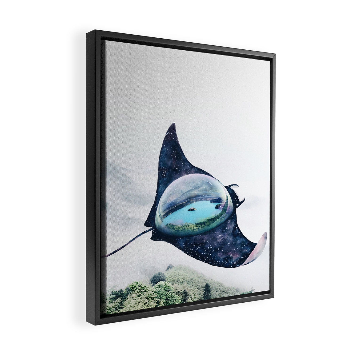 Space Manta Ray Framed Canvas Print Gallery Image 2