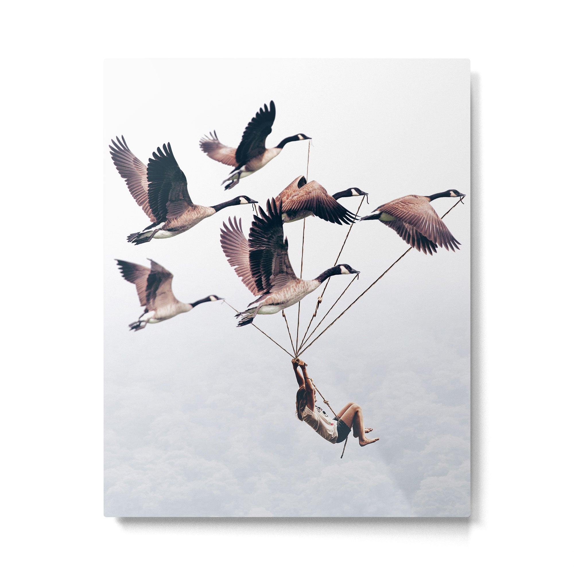 Wild Ride Metal Print Gallery Image 6