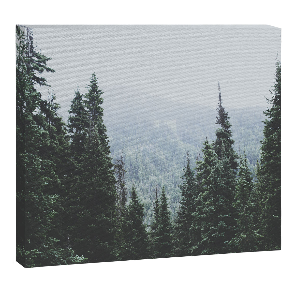 Forest Window Canvas Print Gallery Image 6