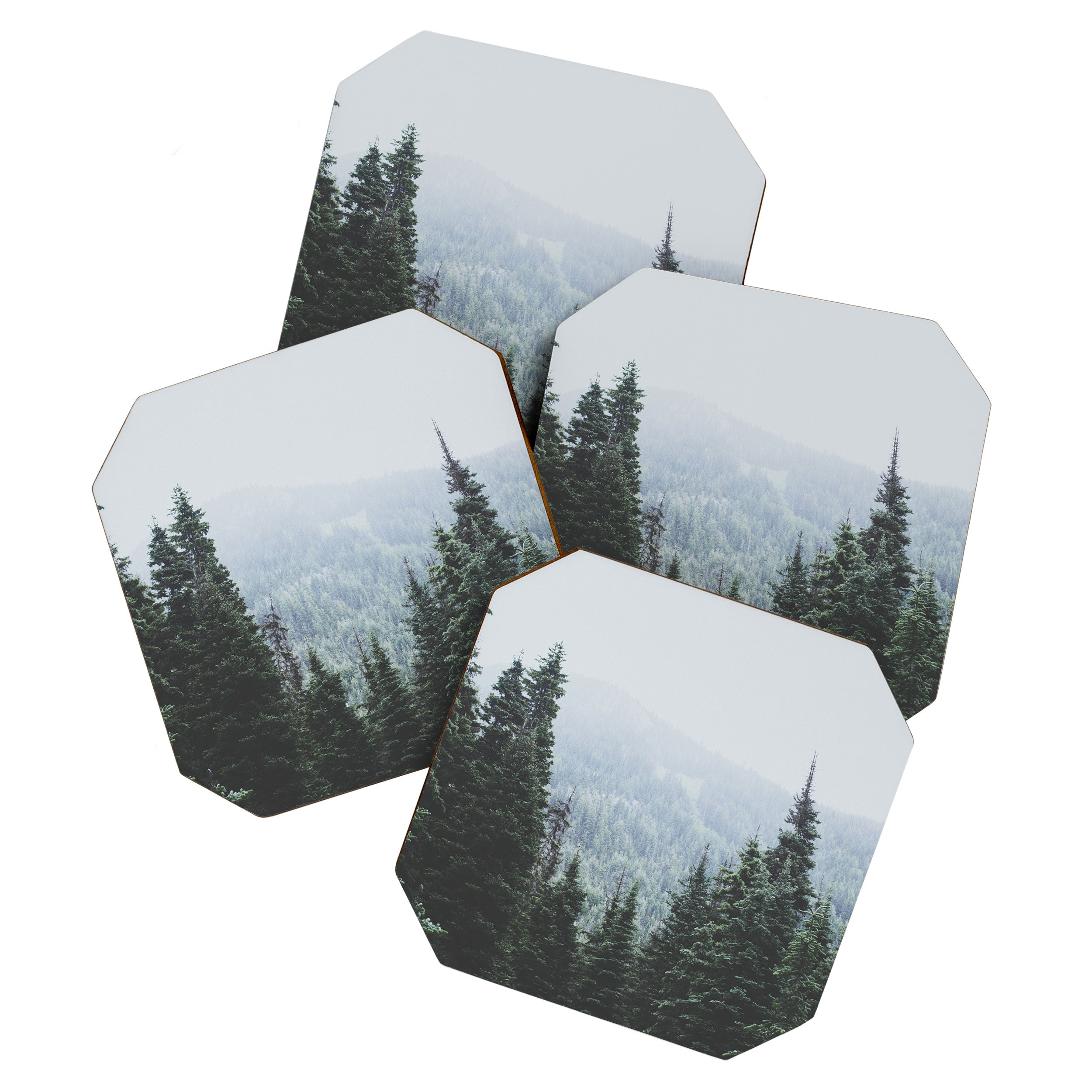 Forest Window Coaster Gallery Image 1