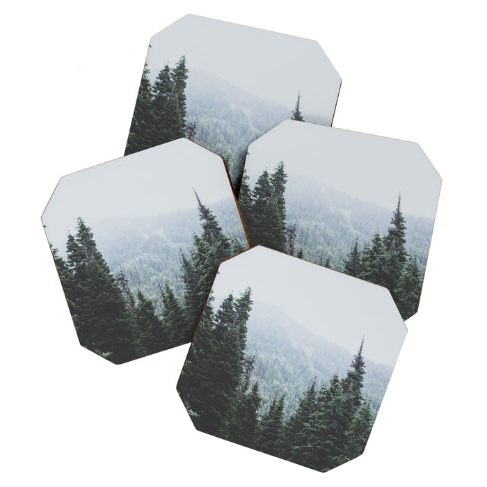 Forest Window Coaster Gallery Image 1