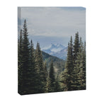 Garibaldi Provincial Park II Canvas Print Gallery Image 6