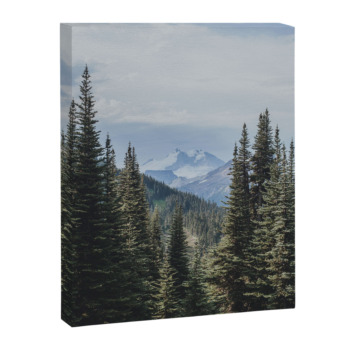 Garibaldi Provincial Park II Canvas Print Gallery Image 6