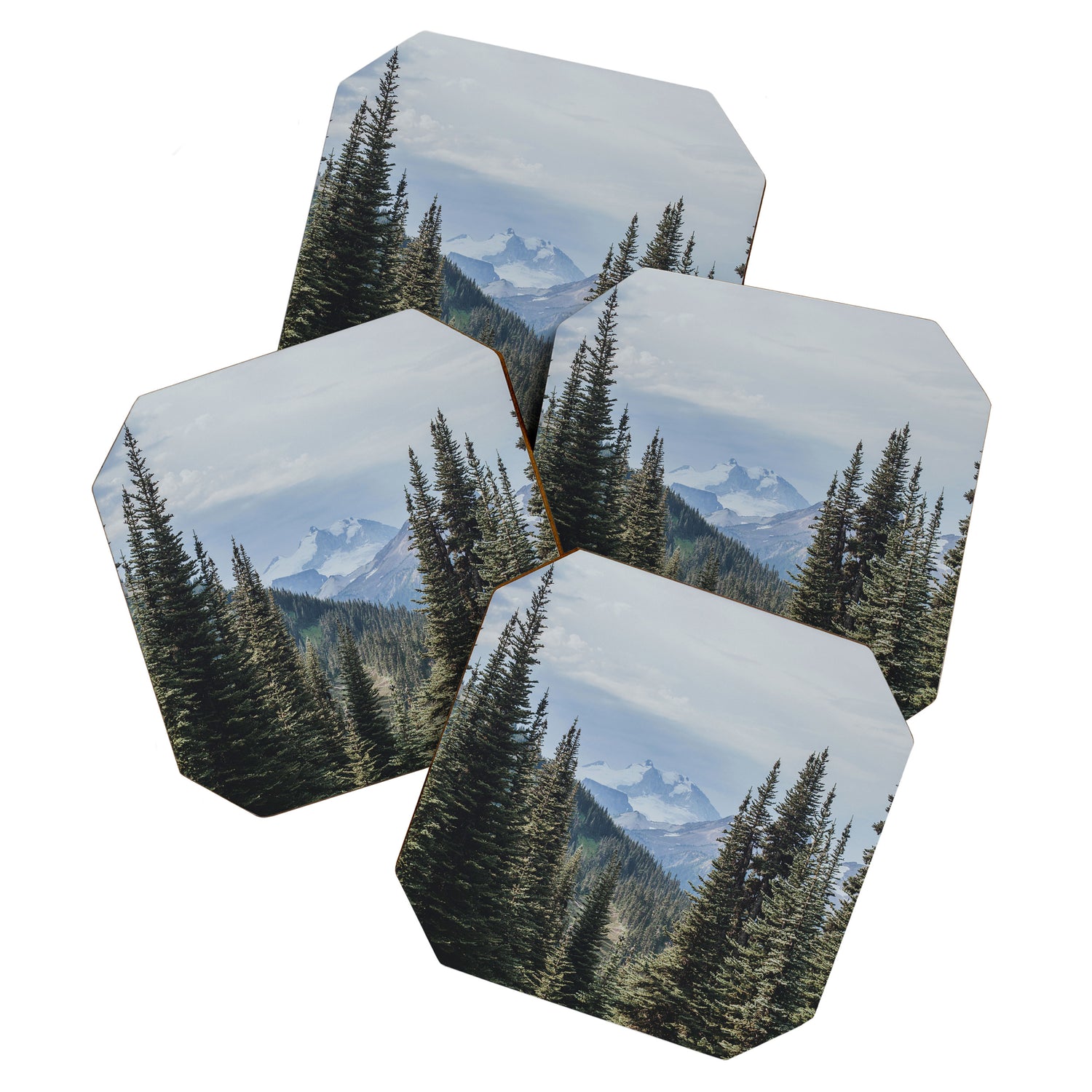 Garibaldi Provincial Park II Coaster Gallery Image 1
