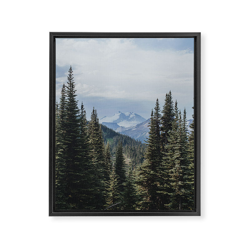 Garibaldi Provincial Park II Framed Canvas Print Gallery Image 6