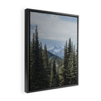 Garibaldi Provincial Park II Framed Canvas Print Gallery Image 2