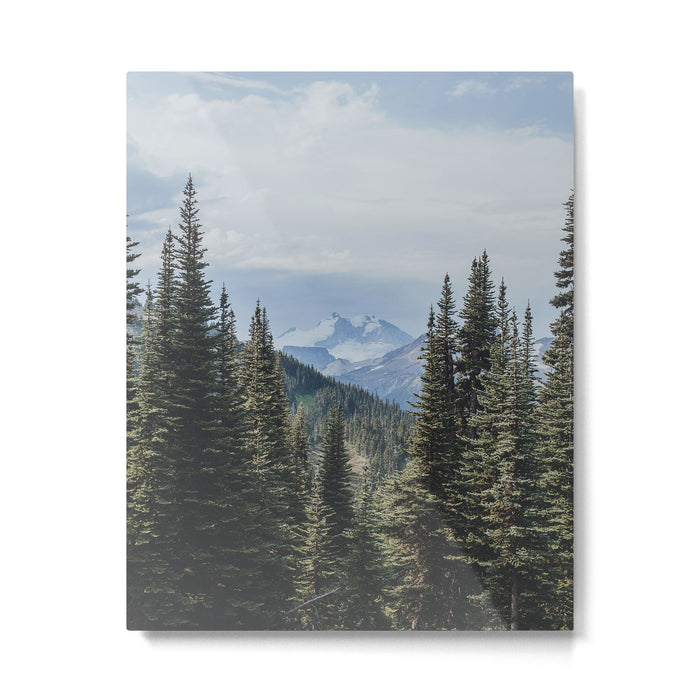Garibaldi Provincial Park II Metal Print Gallery Image 1