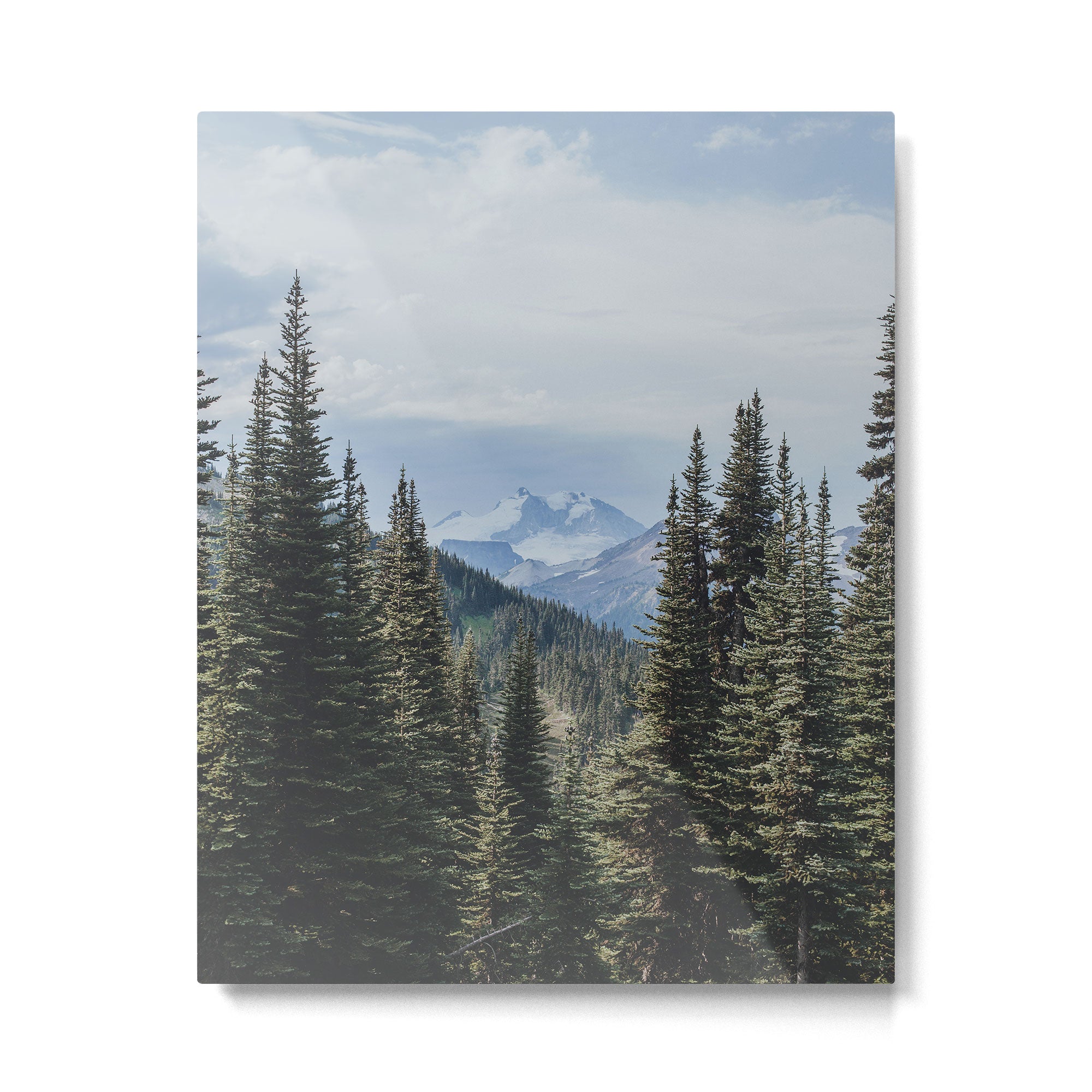 Garibaldi Provincial Park II Metal Print Gallery Image 4
