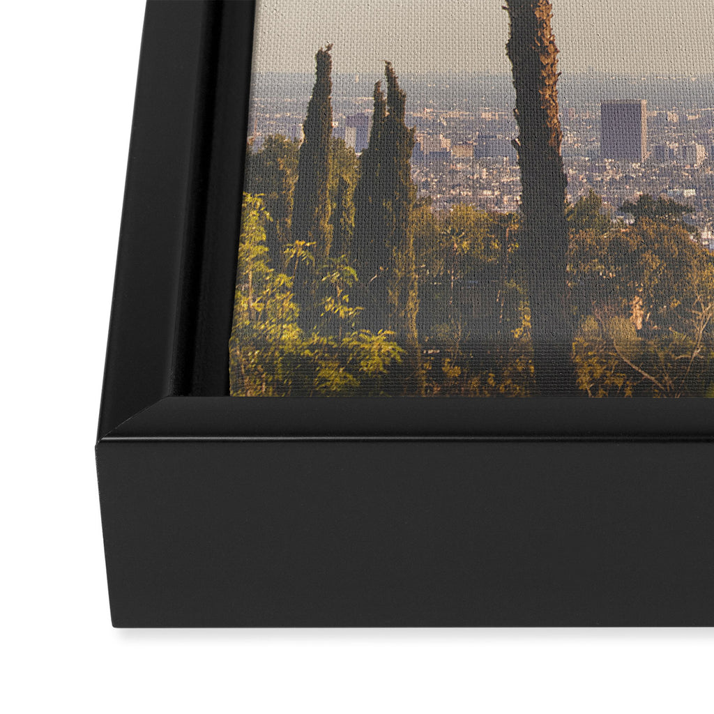 L.A. Framed Canvas Print Gallery Image 3