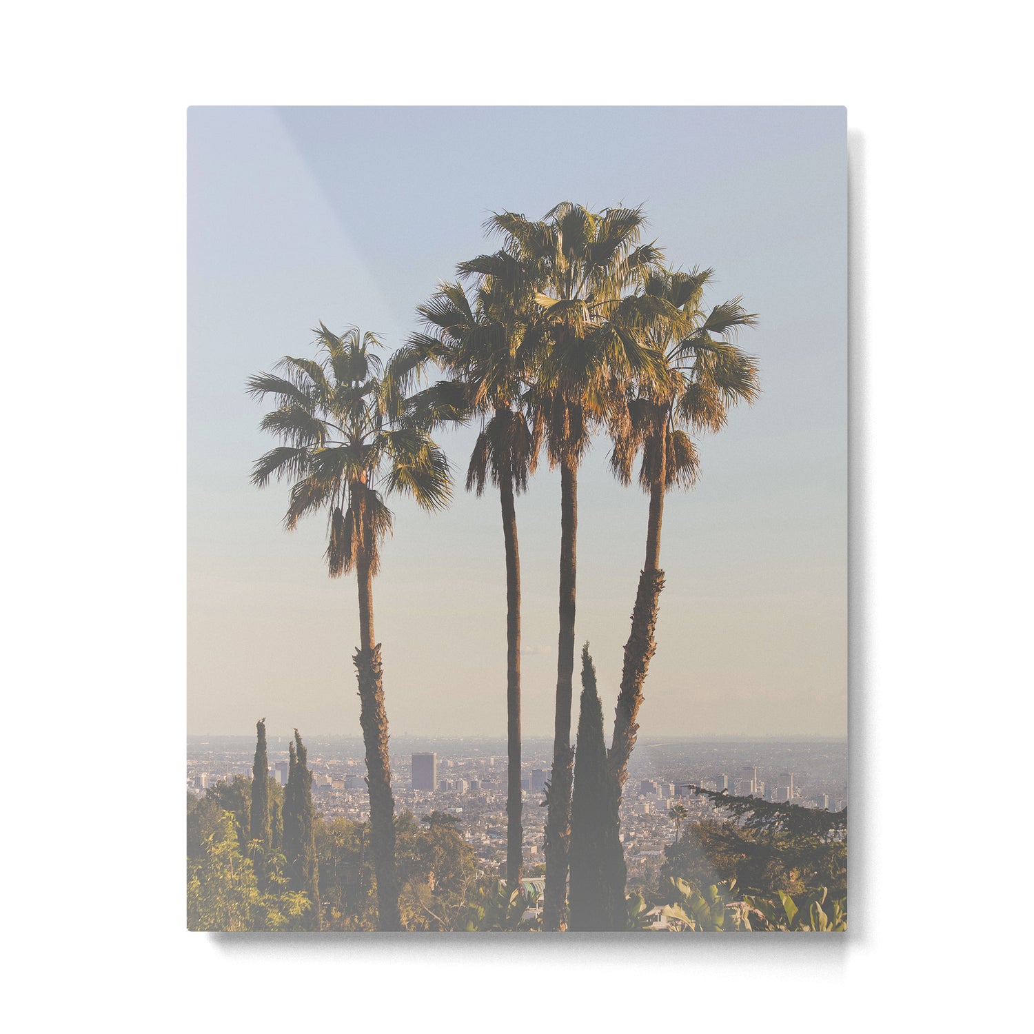 L.A. Metal Print Gallery Image 4