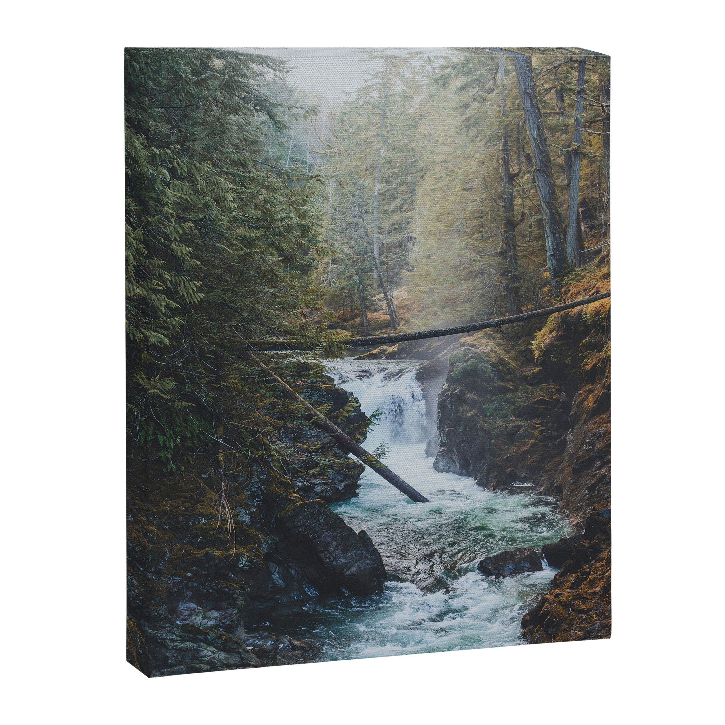 Little Qualicum Falls Canvas Print Gallery Image 6