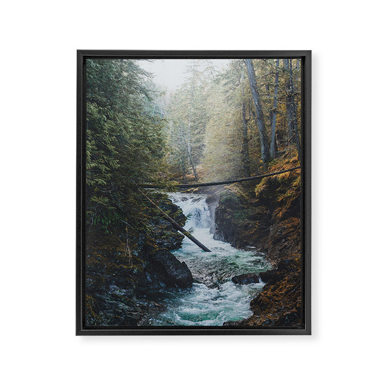 Little Qualicum Falls Framed Canvas Print Gallery Image 6