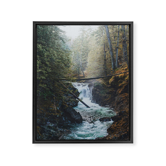 Little Qualicum Falls Framed Canvas Print Gallery Image 1