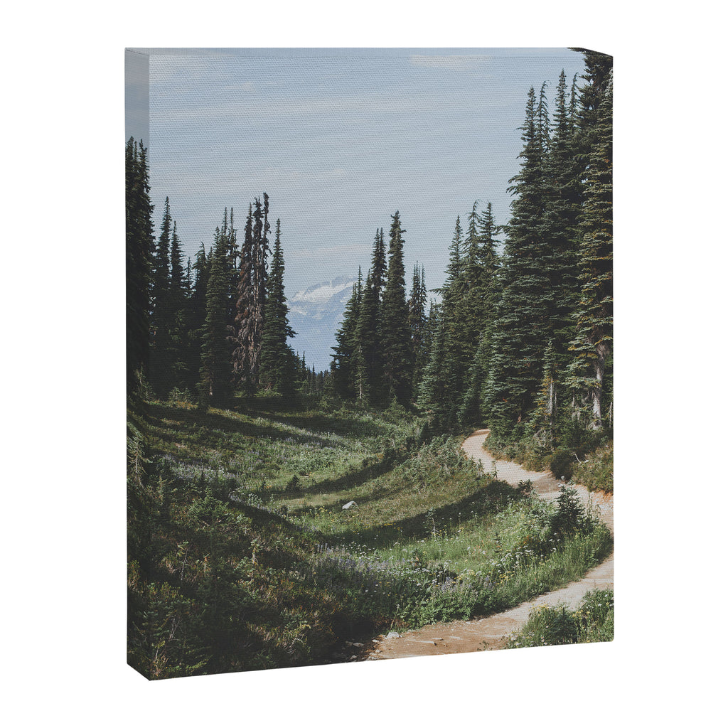 Mountain Trail Canvas Print Gallery Image 6