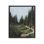 Mountain Trail Framed Canvas Print Gallery Image 6