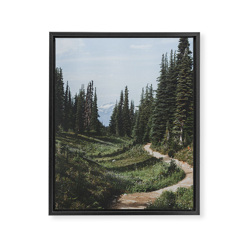 Mountain Trail Framed Canvas Print Gallery Image 6