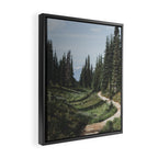 Mountain Trail Framed Canvas Print Gallery Image 2