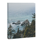 Pacific Northwest Canvas Print Gallery Image 6
