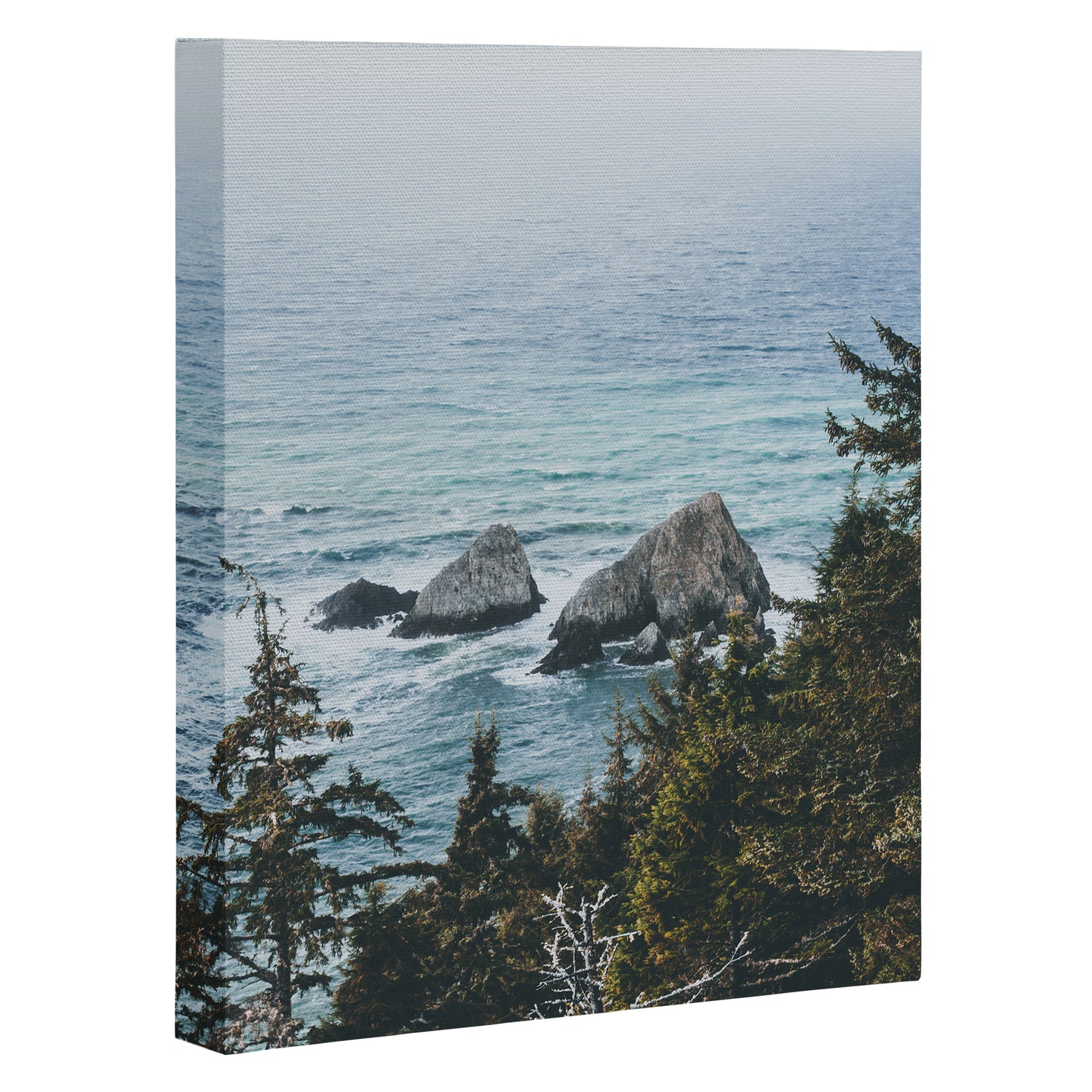 Pacific Northwest Canvas Print Gallery Image 3