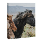 Thingeyrar, Iceland Canvas Print Gallery Image 6