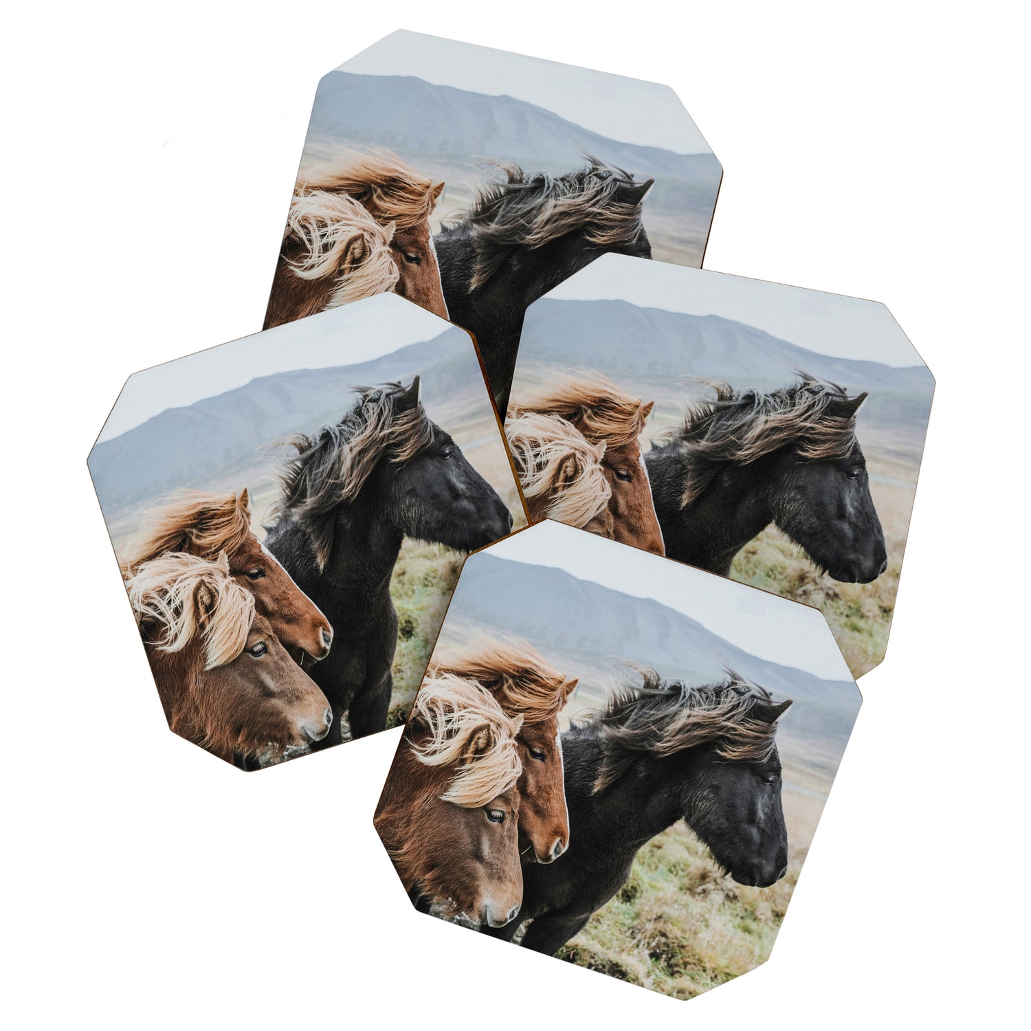 Thingeyrar, Iceland Coaster Gallery Image 1