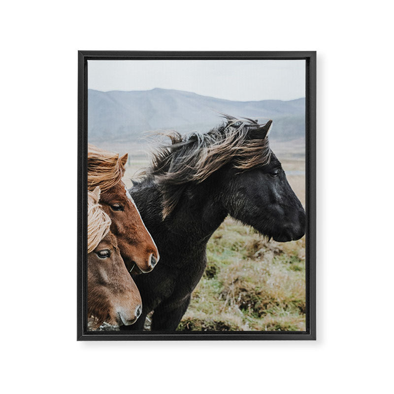 Thingeyrar, Iceland Framed Canvas Print Gallery Image 6
