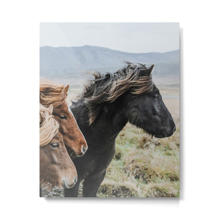 Thingeyrar, Iceland Metal Print Gallery Image 1