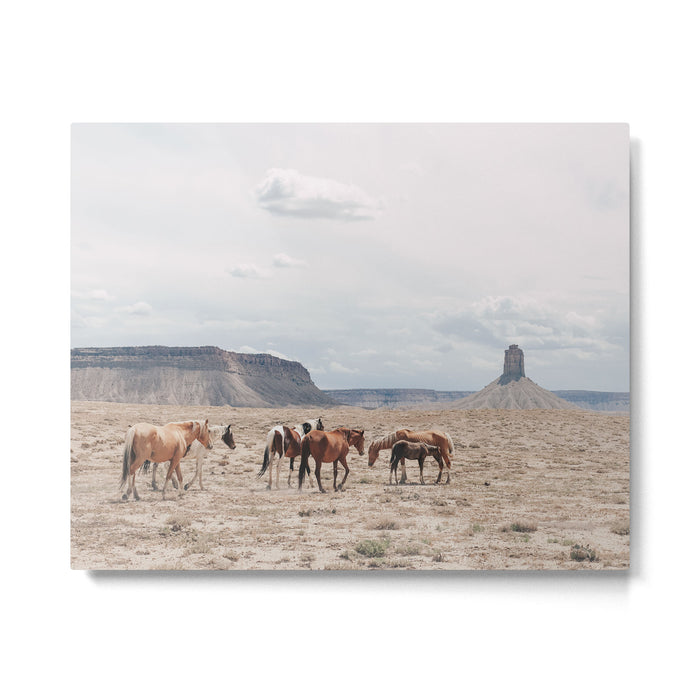 Wild Horses II Metal Print Gallery Image 1