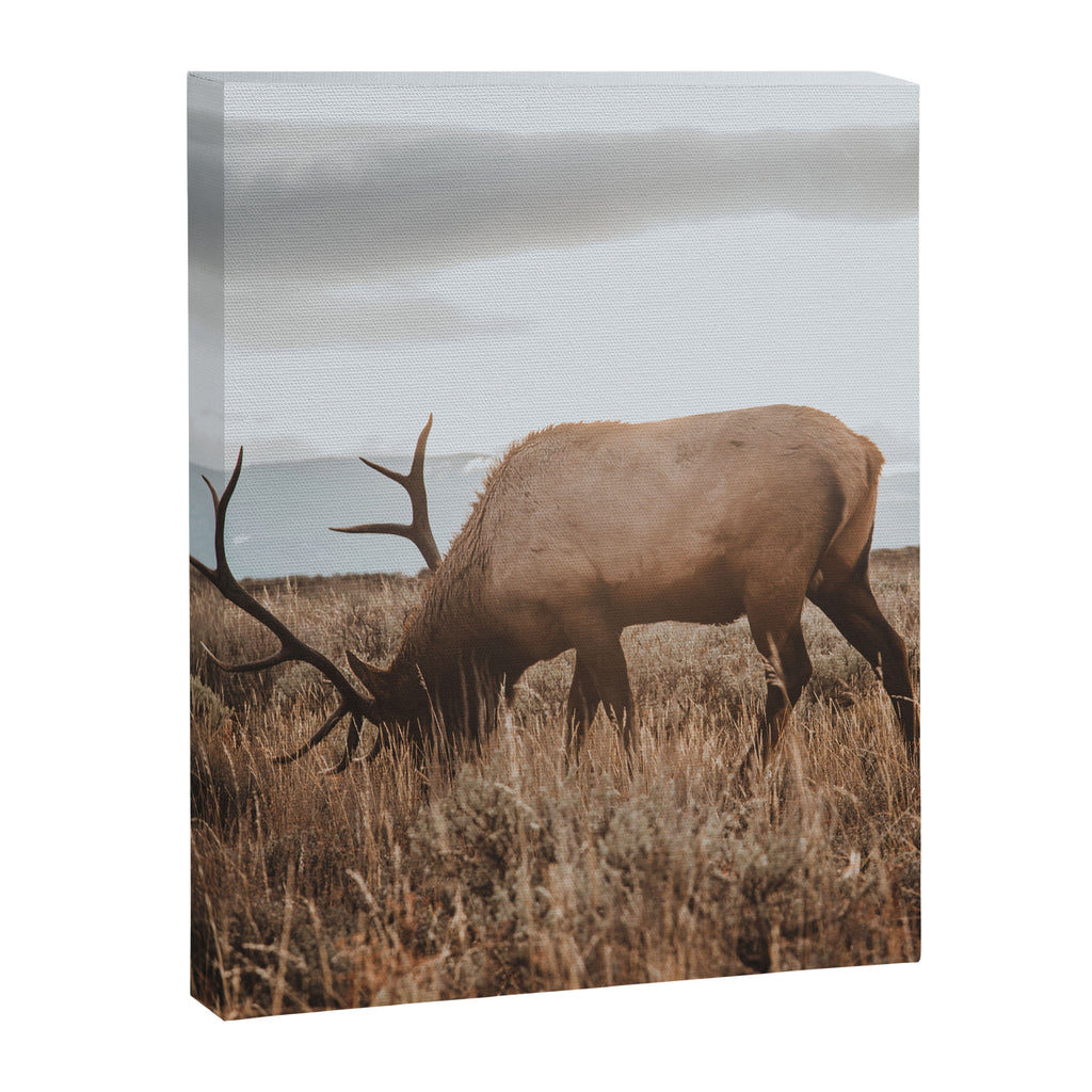 Wyoming Canvas Print Gallery Image 6