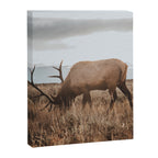 Wyoming Canvas Print Gallery Image 6
